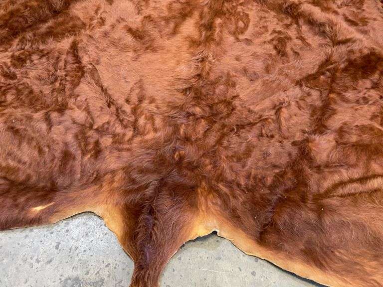 Large Cowhide 777 Auction Company