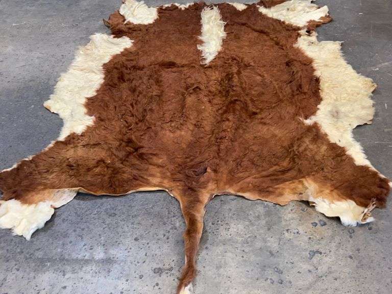 Large Cowhide 777 Auction Company