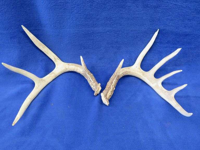 Antlers AAA Auction and Realty