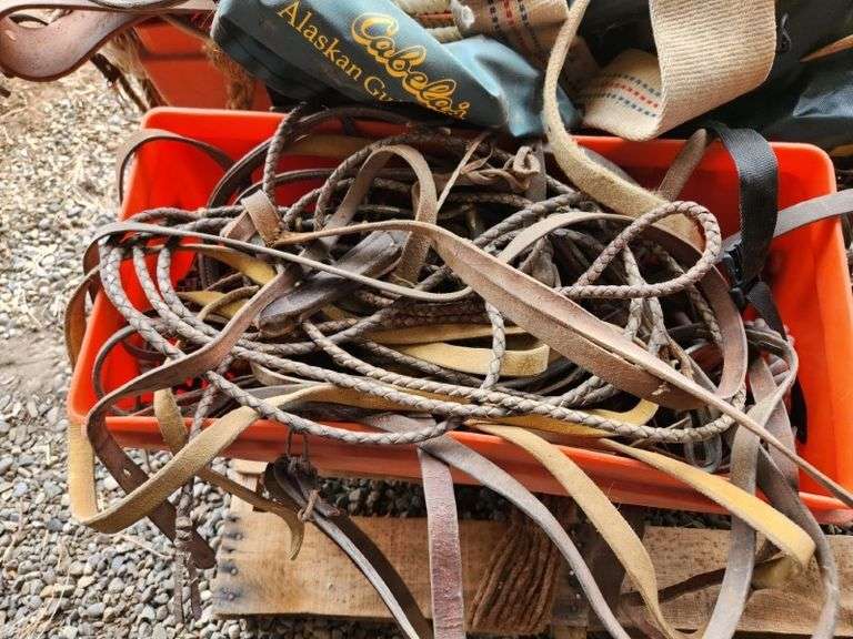 Misc. horse tack & pack gear