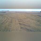 ***SOLD!*** Hamlin County Crop & Hunting Land For Sale
