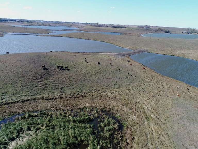 Recreational Pasture Near ster, South Dakota Advantage Land Co./G3