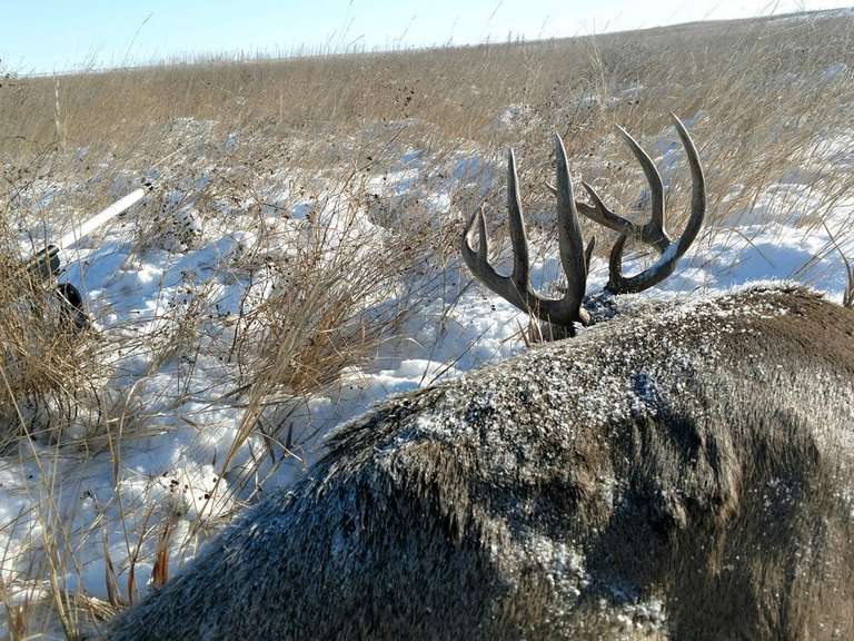 Crop, Hay Land, & CRP Near Eureka, SD Land Auction Advantage Land Co