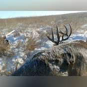 ***SALE PENDING*** McPherson County Land For Sale Tract 2