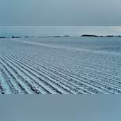 Lincoln County MN Crop Land Auction