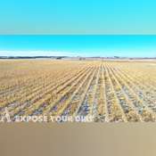 Kingsbury County, SD Cropland Auction