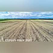 FOR RENT - Faulk, Hand, & Spink County, SD Crop & Grassland - 2,889+/- Acres