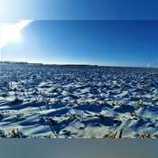 Prime Brookings County Land for Rent