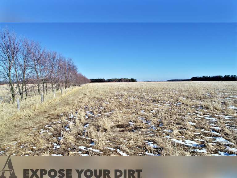 Brookings County Pasture For Rent Advantage Land Co./G3 Auction