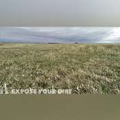 Beadle County SD Land Auction