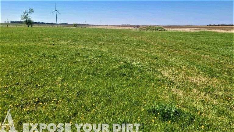Rock County MN Land Auction