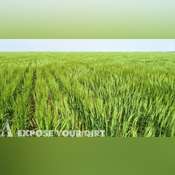 Central SD Cropland Auction