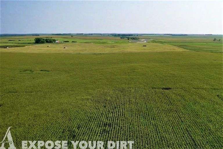 FOR RENT Day County, SD Cropland 120+/ Acres Advantage Land Co
