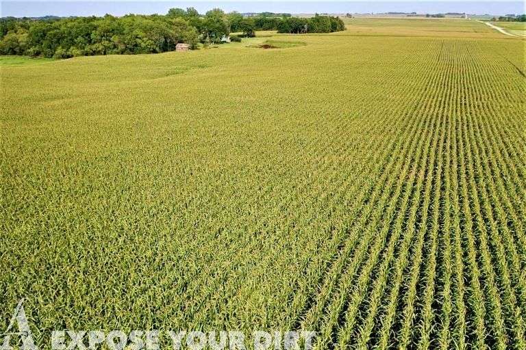 FOR RENT Day County, SD Cropland 120+/ Acres Advantage Land Co