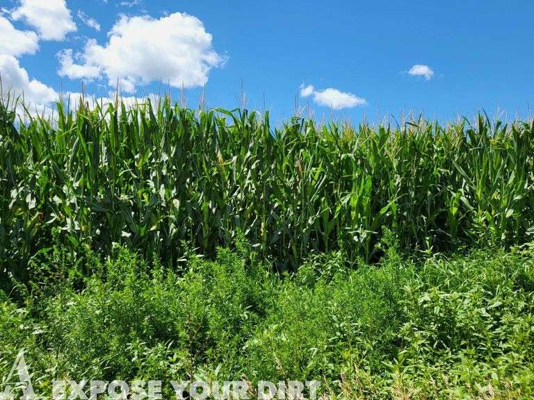 Spink County, SD Cropland Auction Advantage Land Co./G3 Auction