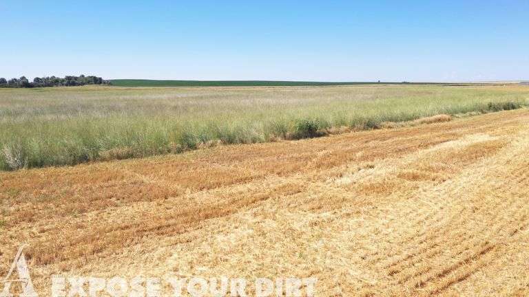 Tract 3: 159.45+/- Acres