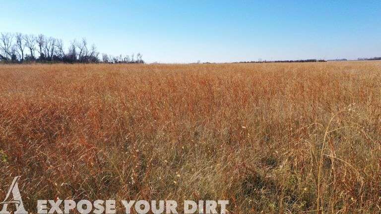 128.46+/- Brookings County, SD Live Land Auction