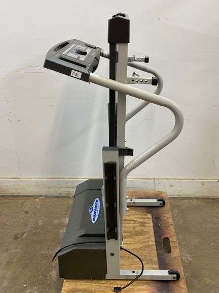 WLTL29013 Weslo Cadence 340CS Teadmill Moto Dive Belt