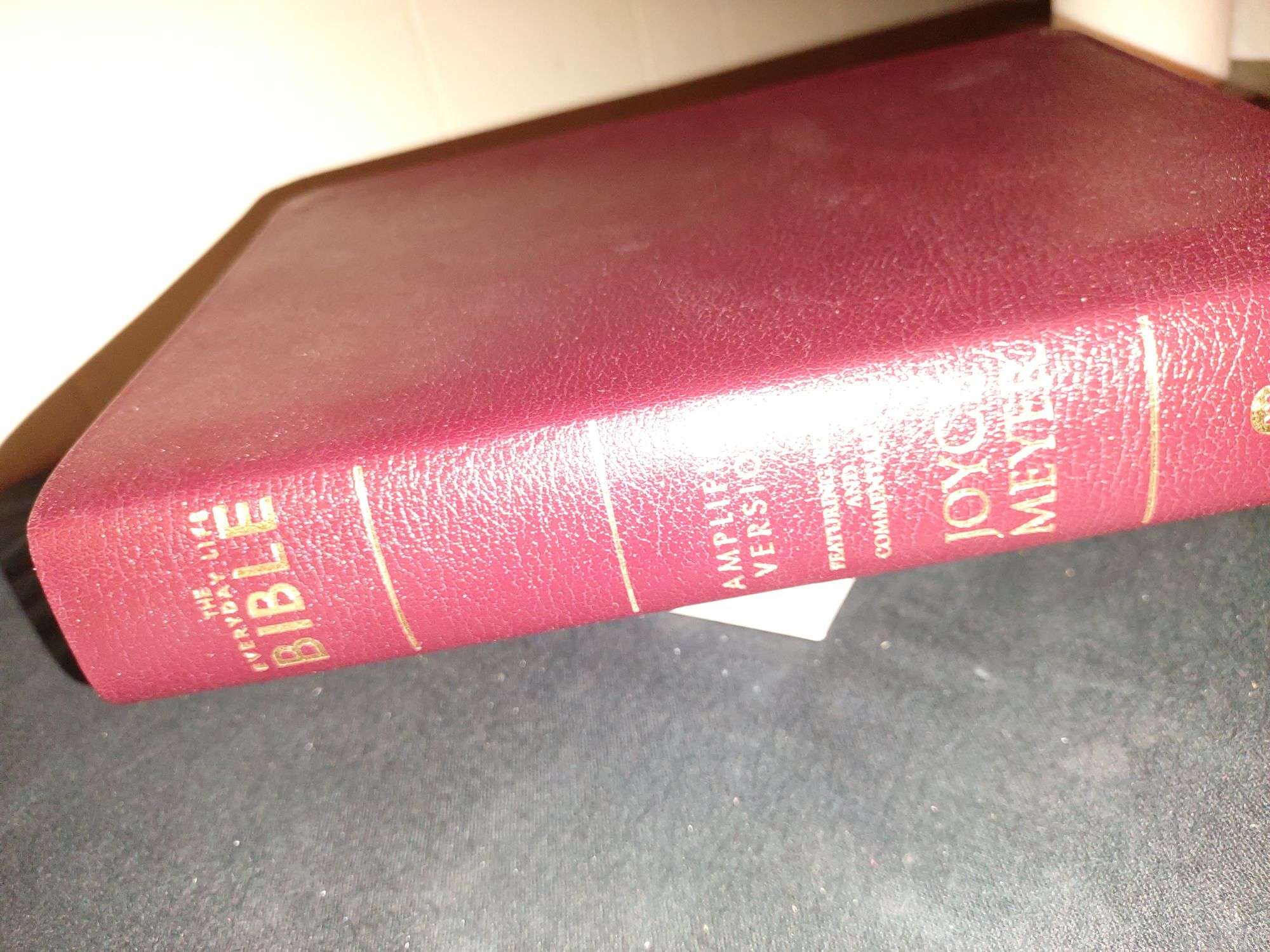 Joyce Meyer Everyday Life Bible Amplified Version wordpress331561