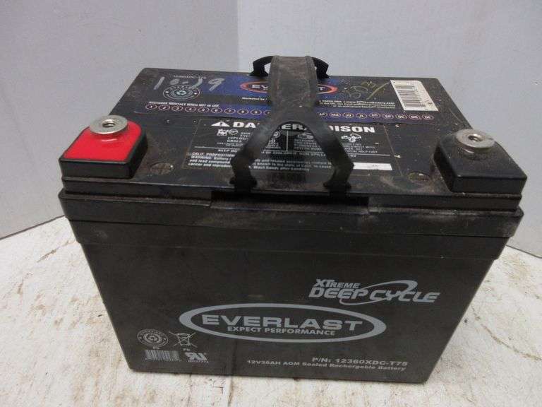 12V Lawn Tractor or Mobility Cart Battery, 303 CCAs Albrecht Auction