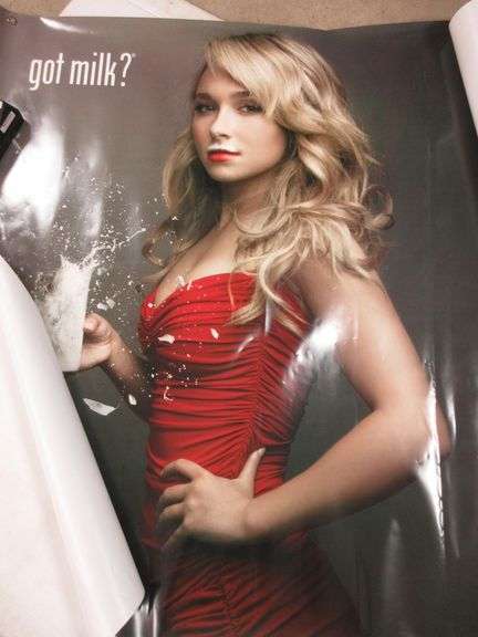 (3) "Got Milk" Banners - Albrecht Auction Service