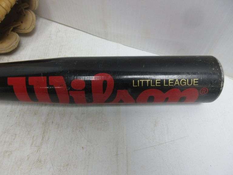 Wilson Bat, Softball, Rawlings Ball Glove, and a Ball and Strike