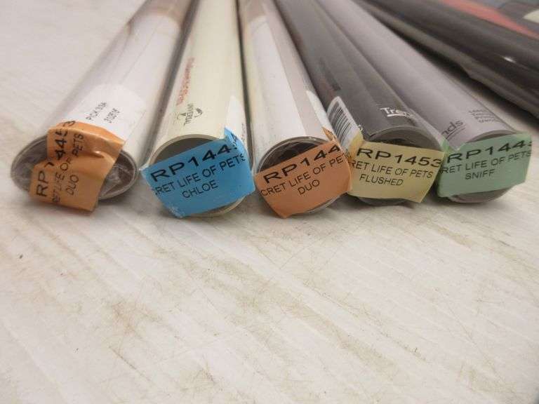 Collection of Disney's Secret Life of Pets items, include: (14) Large