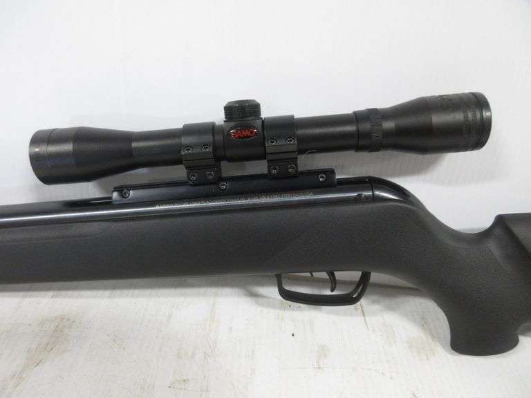 Gamo pellet gun with scope and case Albrecht Auction Service