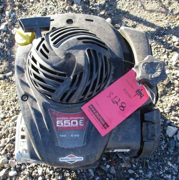 Briggs & Stratton 550E vertical shaft engine, works, good condition