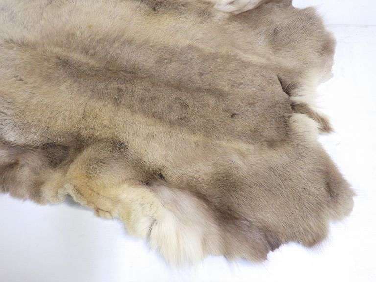 Tanned deer hide, 51"L Albrecht Auction Service