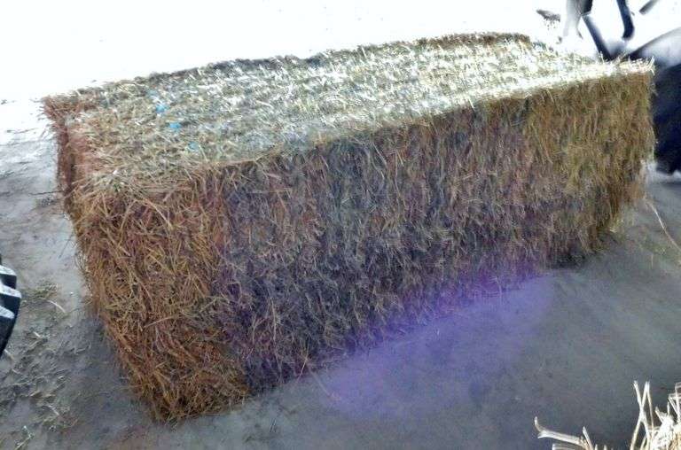 This item Selling ABSOLUTE! 2021 Second Cutting Alfalfa Bales