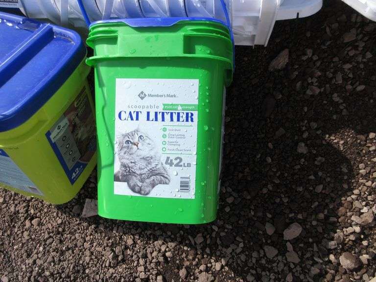 (10) Empty cat litter pails with lids, heavy wear Albrecht Auction