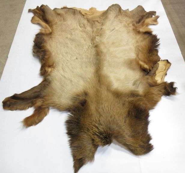 Western Elk Pelt Albrecht Auction Service