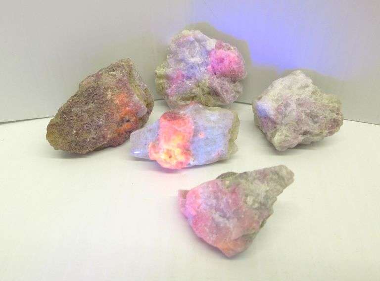 (5) Pieces of fluorescent rubellite, glows bright orange under black
