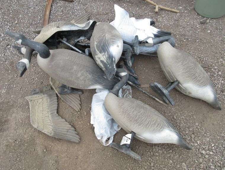Goose and duck decoys, include 4 Big duck decoys, one has damaged