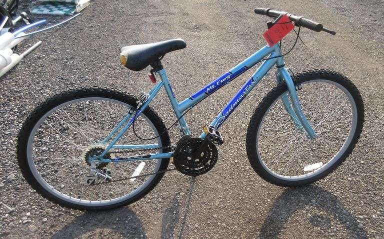 roadmaster mt fury 24 mountain bike