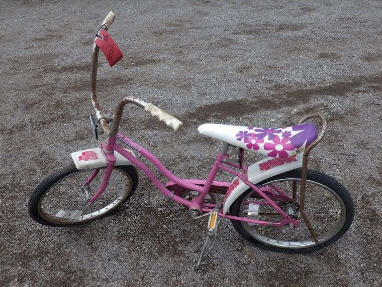 pink ladies bike