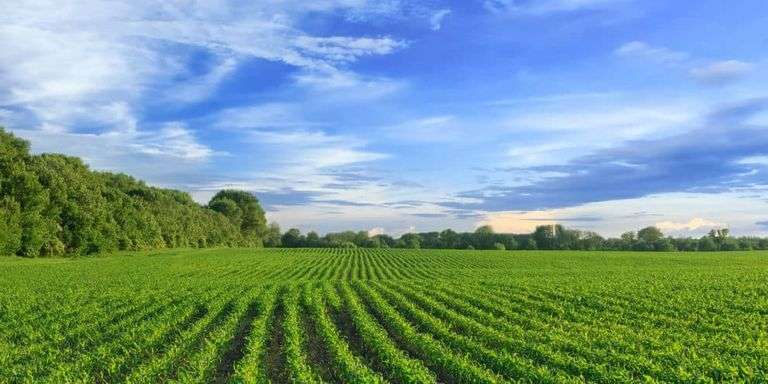 10 acres - farmland