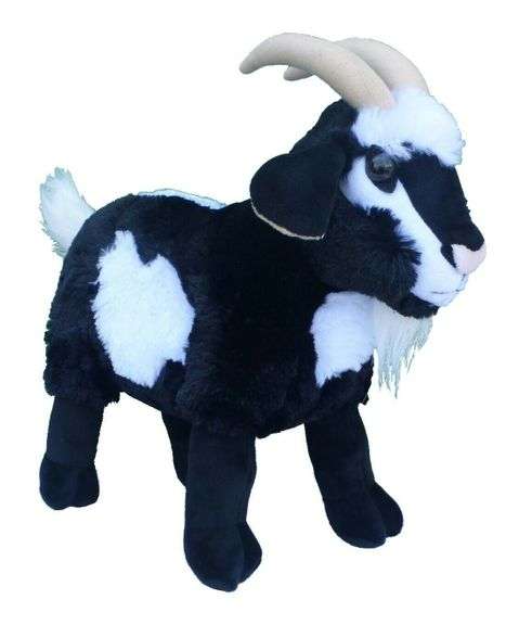 Goat
