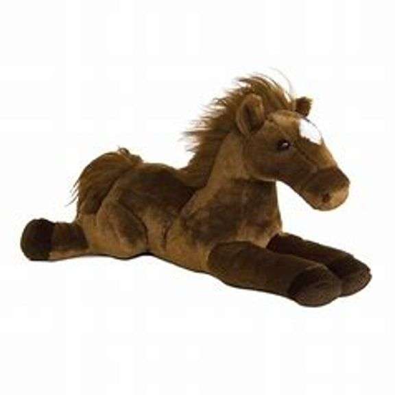 Foal