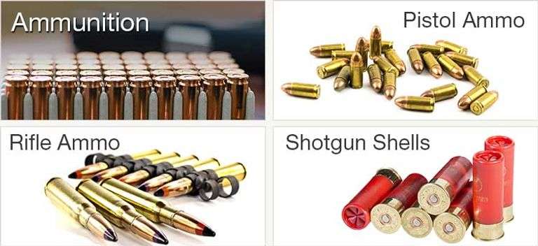 GUNS – AMMO – FISHING AUCTION