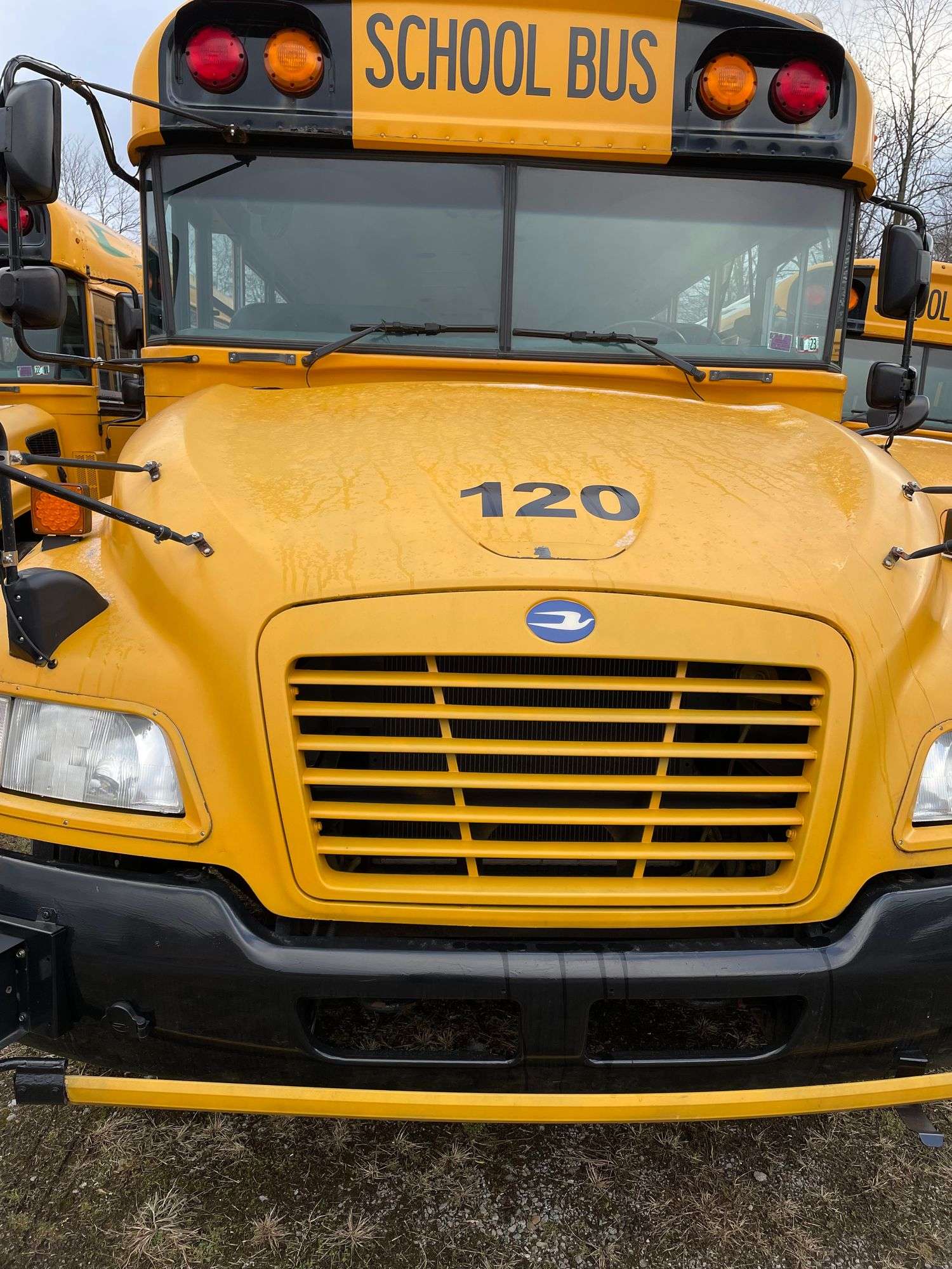 2014 BLUE BIRD BB VISION SCHOOL BUS #120 - Mathies & Sons