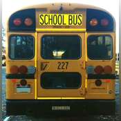 2019 BLUE BIRD BB VISION SCHOOL BUS #227 - Mathies & Sons