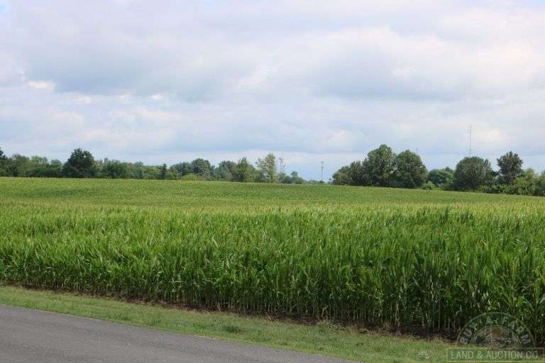 Fayette County IL 31.5 ac