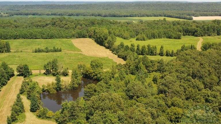 Pope County IL 140 Acres / 2 Tracts / Hunting / CRP Income / 2969A