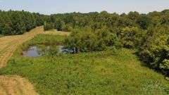 Pope County IL 140 Acres / 2 Tracts / Hunting / CRP Income / 2969A