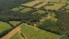Pope County IL 140 Acres / 2 Tracts / Hunting / CRP Income / 2969A