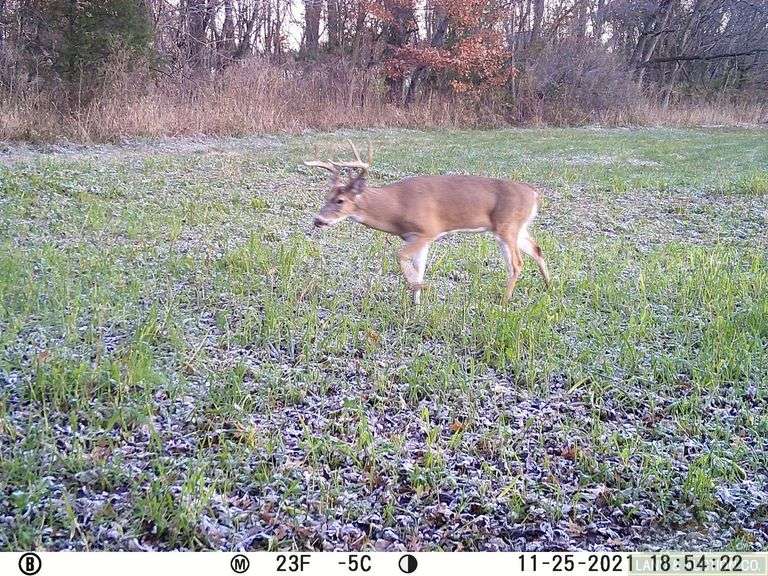 Franklin County IL 65.65+- Acres / Hunting / Tillable / 2996A