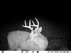Franklin County IL 65.65+- Acres / Hunting / Tillable / 2996A