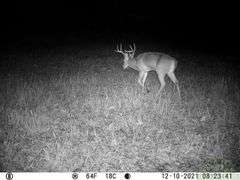 Franklin County IL 65.65+- Acres / Hunting / Tillable / 2996A